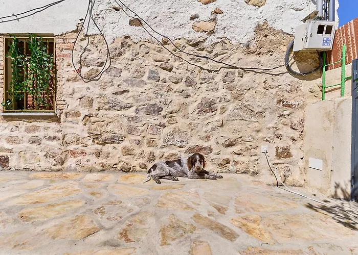 Casa Oliva By Gaiarooms Morille